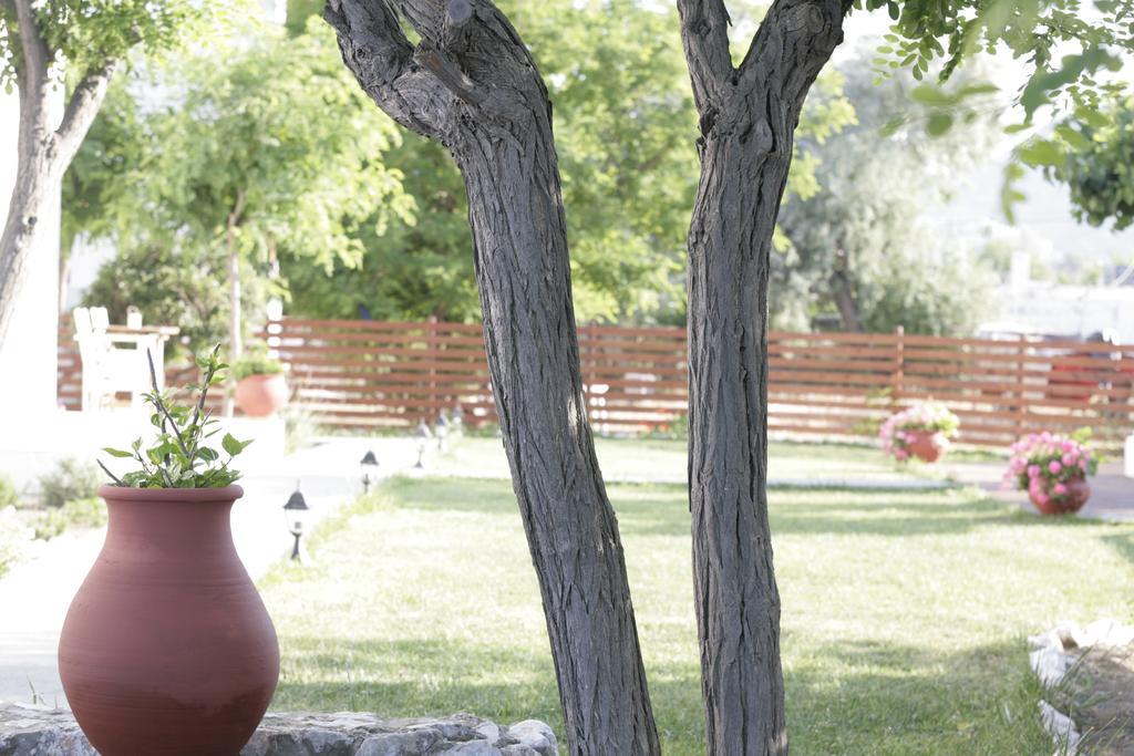 Asterias Apartment Skyros Bagian luar foto